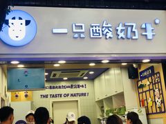门面-一只酸奶牛(八一路店)