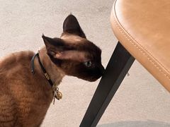 -Northand Coffee(来福士店)