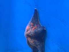 -福州罗源湾海洋世界旅游区