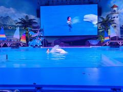 -海合安武汉极地海洋公园