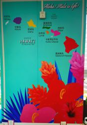 -呼拉汇舞蹈生活馆 Hawaii Hula&Tahiti Dance Studio