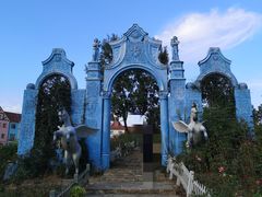 -大塘金香草谷