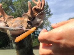 -北京野生动物园