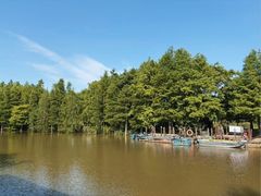 -上海长兴岛郊野公园