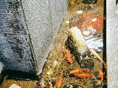 -前门后头老北京铜锅涮肉·京味菜·烤鸭(伊藤洋华堂店)