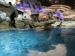 -珠海横琴长隆《卡卡虎奇遇记》