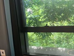 -浙江三立开元名都大酒店·四季轩中餐厅