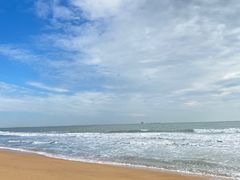 -日照海滨国家森林公园