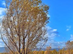 -野鸭湖国家湿地公园