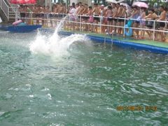 -秦皇岛乐岛海洋王国