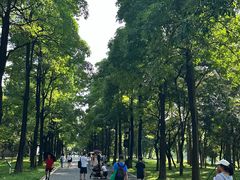 -海珠湖公园