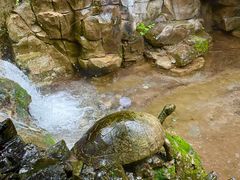 -野三坡清泉山风景区