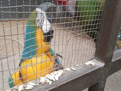 -南宫五洲植物乐园