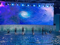 -海合安青岛极地海洋公园