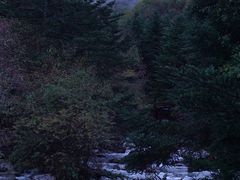 -神农架景区