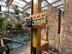 -南宫五洲植物乐园