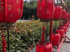-武汉园博园(武汉自然博物馆)