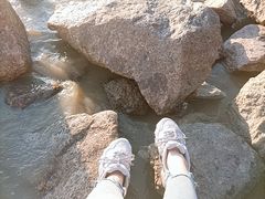 -深圳湾公园(南山区)