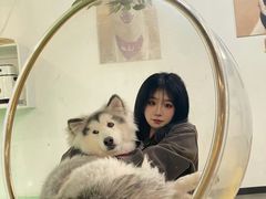 -Husky Go! 哈士奇体验馆·宠物咖啡厅狗咖