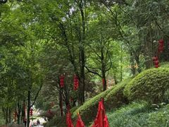 -炎帝陵景区