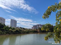 -好味道海鲜大排档·老字号(巽寮湾海鲜市场店)