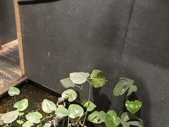 -邈墨茶馆(凤起路店)