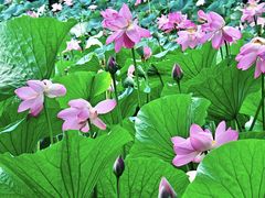 -哈尔滨北方森林动物园