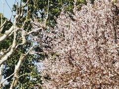 -上海市虹口区图书馆(曲阳分馆)