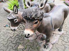 -东芭乐园