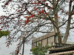 -喜洲吧·江畔老船厂·庭院餐厅(喜临院店)