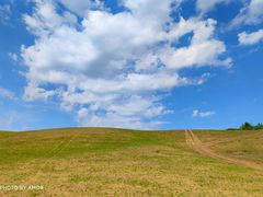 -塞罕坝国家级自然保护区