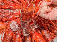 -香满锅老北京羊蝎子火锅·家常菜(新街口店)