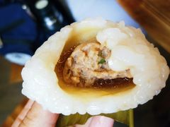 茨毛圆子-双塔老饭店