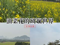 -光明小镇欢乐田园