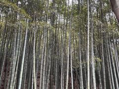 -穹窿山景区