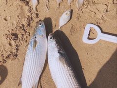 -三亚海棠湾万丽度假酒店