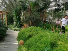 -白洋淀景区