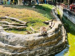 -东莞香市动物园