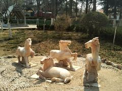 -贮水山儿童公园