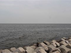 -东堤公园