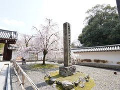 -醍醐寺