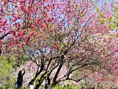 -南山风景名胜区