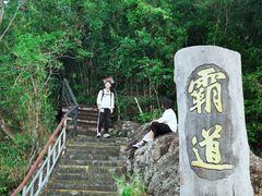 -海南霸王岭国家森林公园