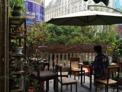 -可可丽舍