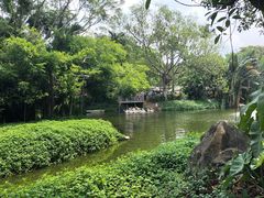 -深圳野生动物园