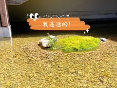 -几荷·恰似故人来(秀水广场店)