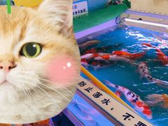 -龙湖南京江北天街