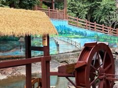 -广州白江湖森林公园