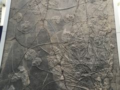 -中国地质大学逸夫博物馆