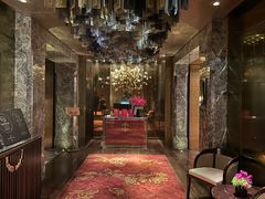 -金轩中餐厅 Jin Xuan(浦东丽思卡尔顿酒店)